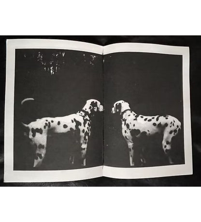 Giacomo Brunelli: Emergence (signed and numbered)