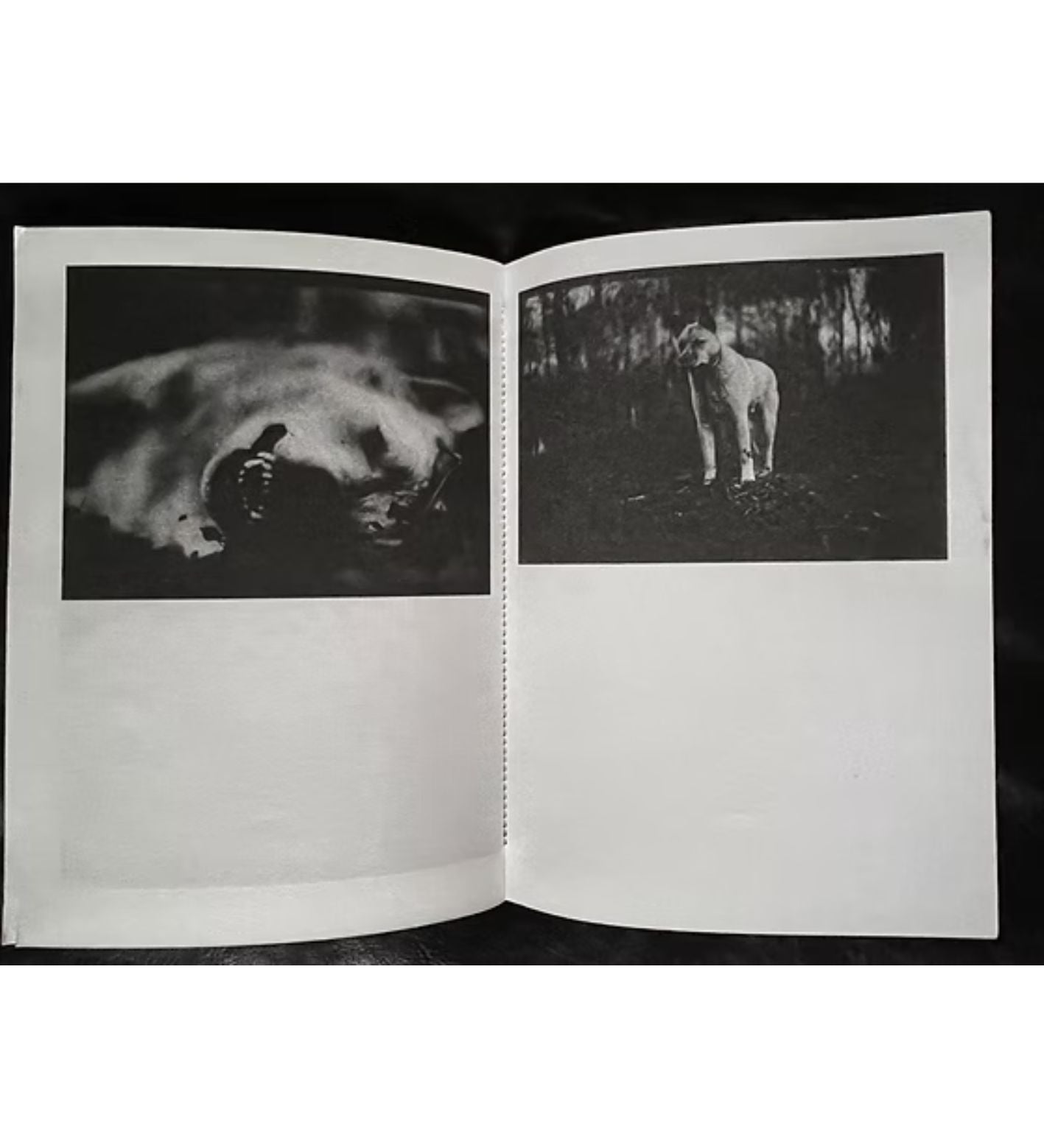 Giacomo Brunelli: Emergence (signed and numbered)
