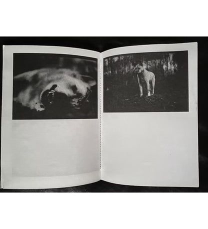 Giacomo Brunelli: Emergence (signed and numbered)