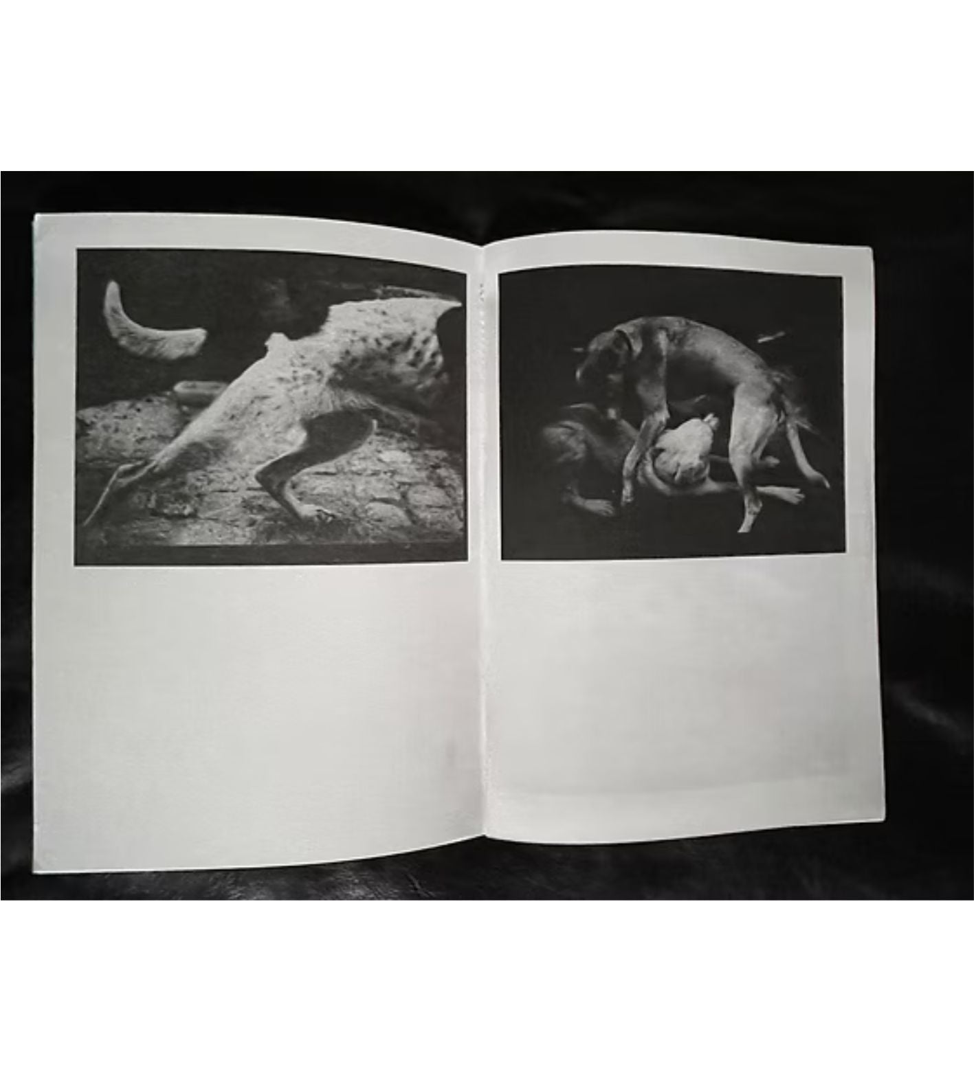 Giacomo Brunelli: Emergence (signed and numbered)