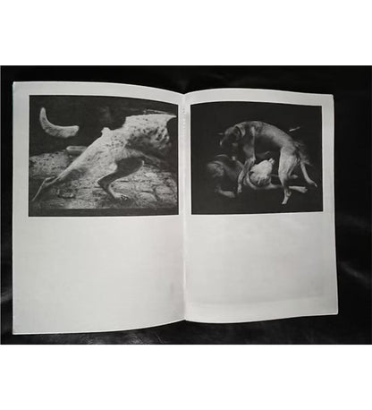 Giacomo Brunelli: Emergence (signed and numbered)