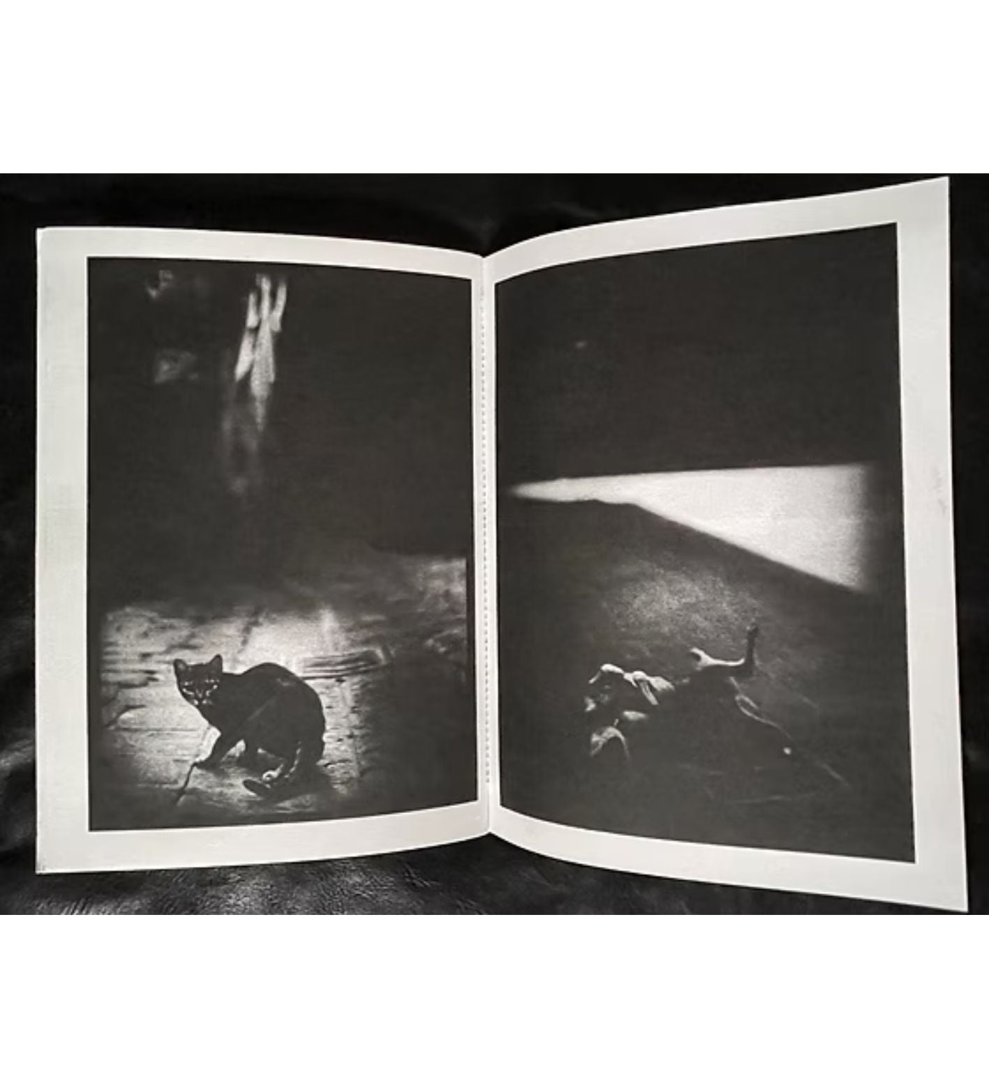 Giacomo Brunelli: Emergence (signed and numbered)