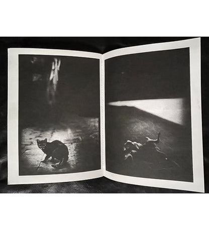 Giacomo Brunelli: Emergence (signed and numbered)
