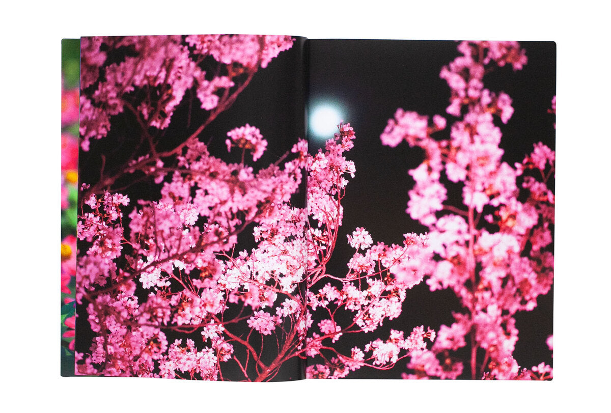Mika Ninagawa: Eternity in a Moment Vol.1