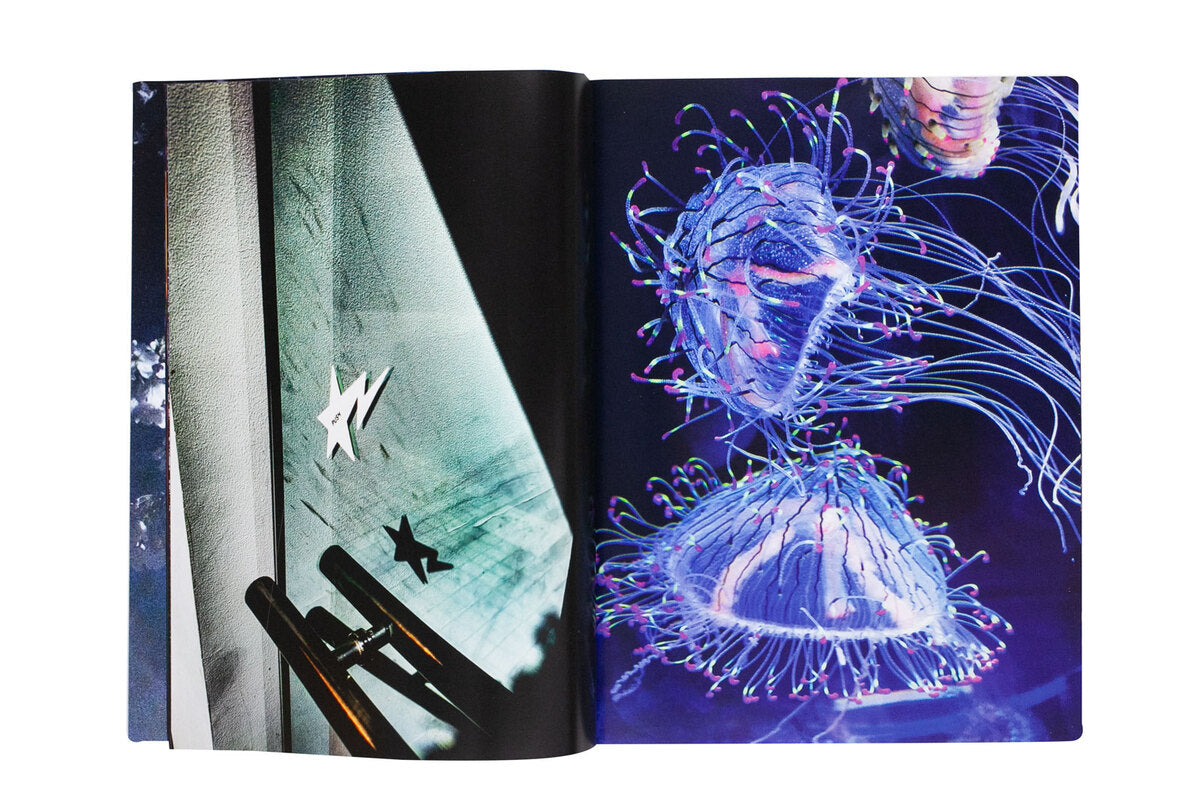 Mika Ninagawa: Eternity in a Moment Vol.3