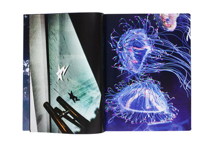 Mika Ninagawa: Eternity in a Moment Vol.3