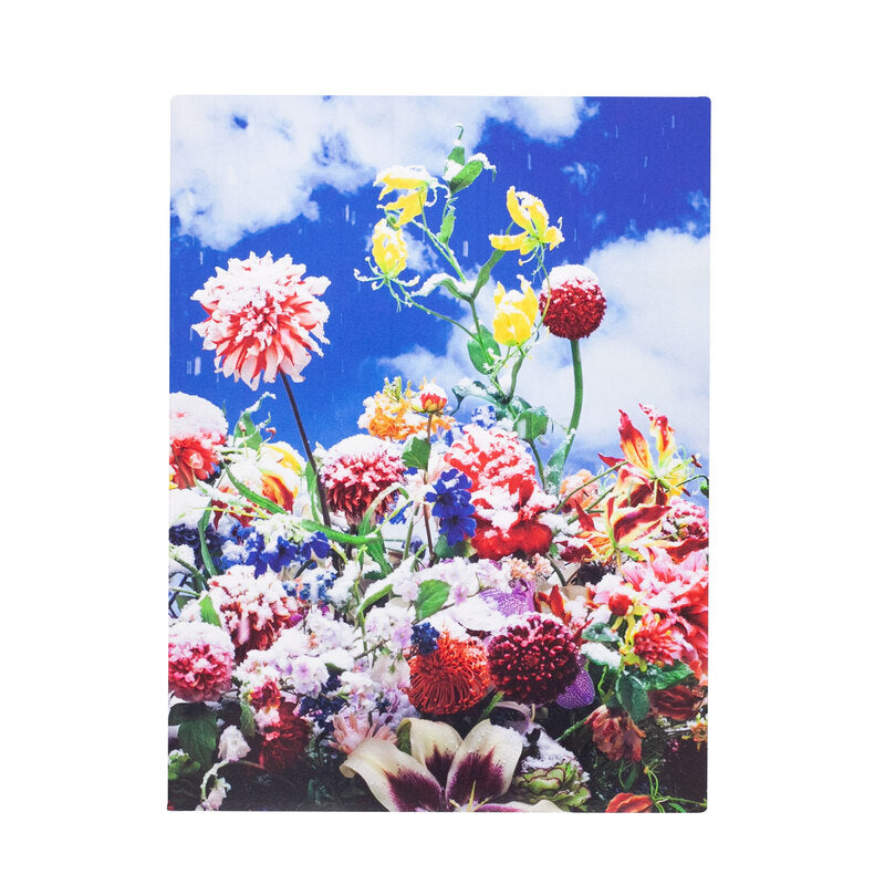 Mika Ninagawa: Eternity in a Moment Vol.1