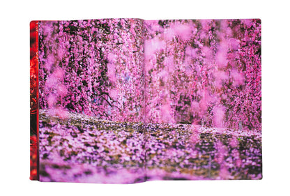 Mika Ninagawa: Eternity in a Moment Vol.2