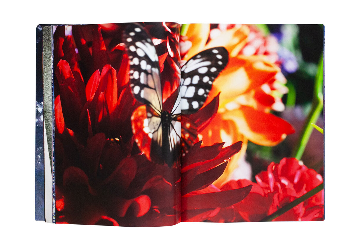 Mika Ninagawa: Eternity in a Moment Vol.3