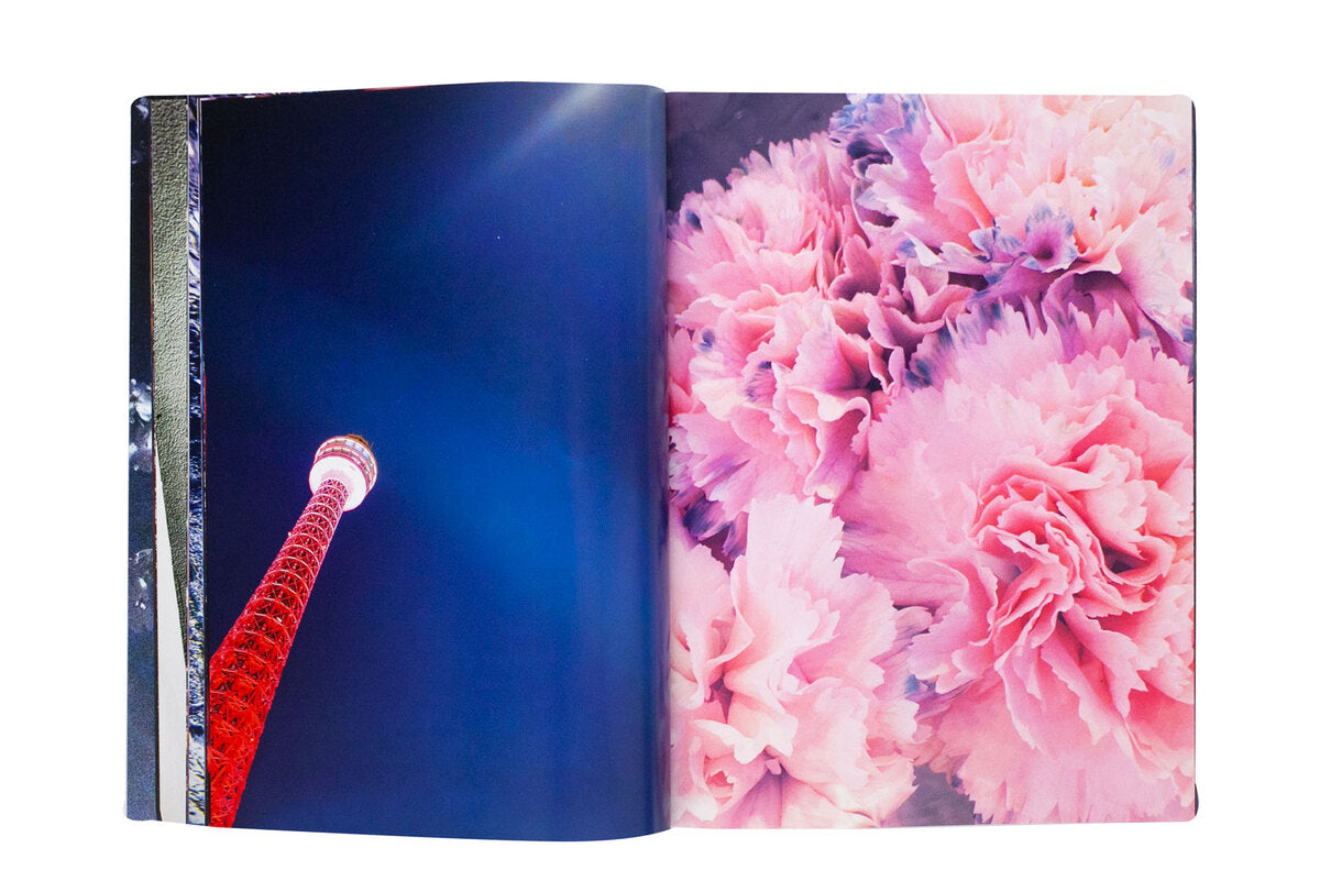 Mika Ninagawa: Eternity in a Moment Vol.3