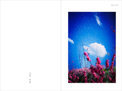 Mika Ninagawa: Flowers, Shimmering Light