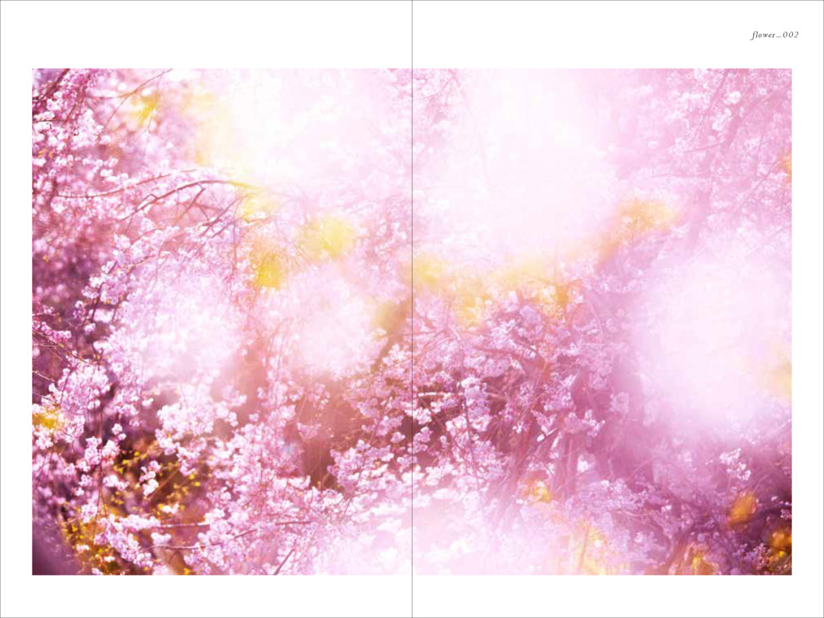 Mika Ninagawa: Flowers, Shimmering Light