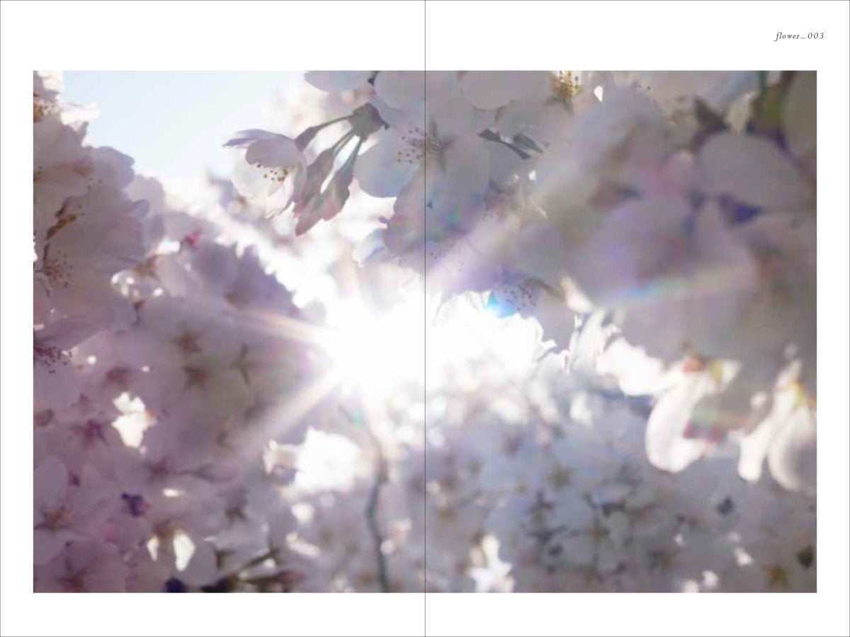 Mika Ninagawa: Flowers, Shimmering Light