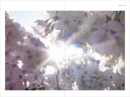 Mika Ninagawa: Flowers, Shimmering Light