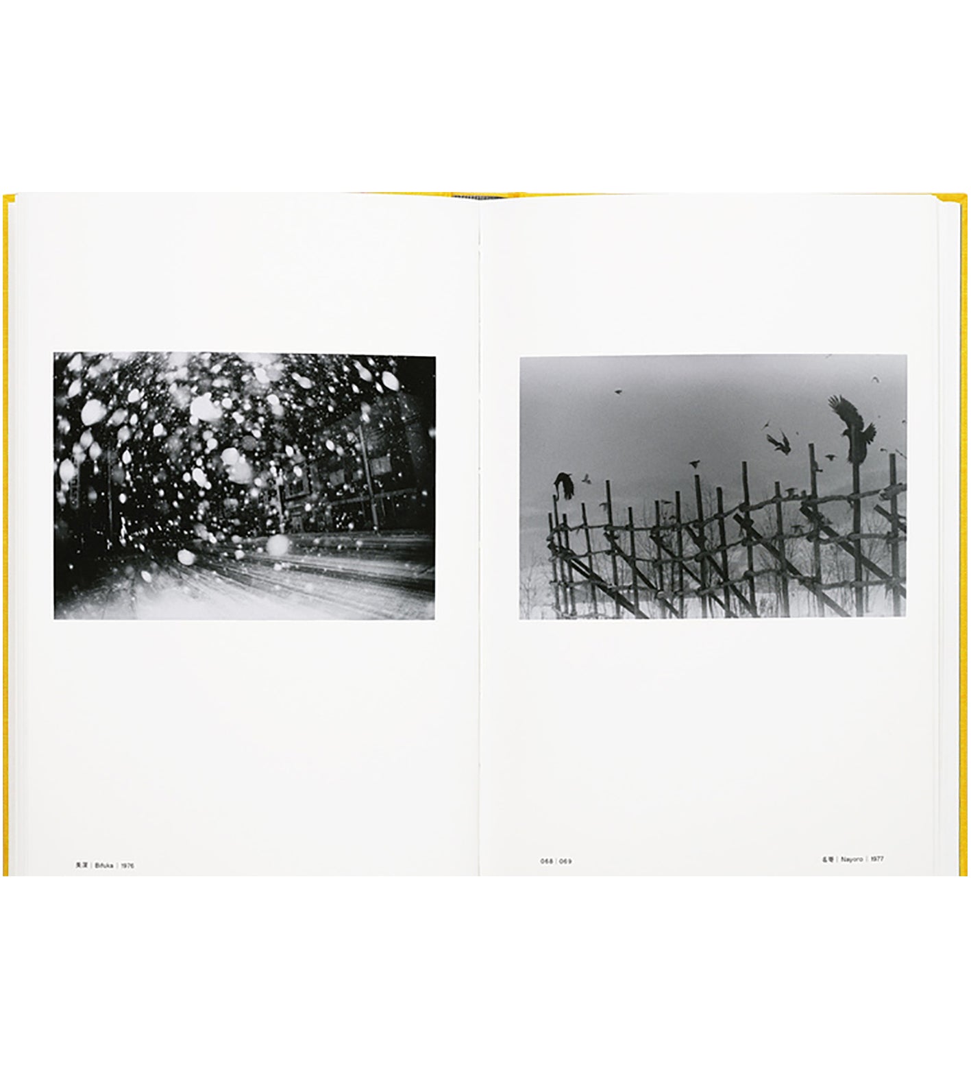 Masahisa Fukase: 1961-1991 Retrospective