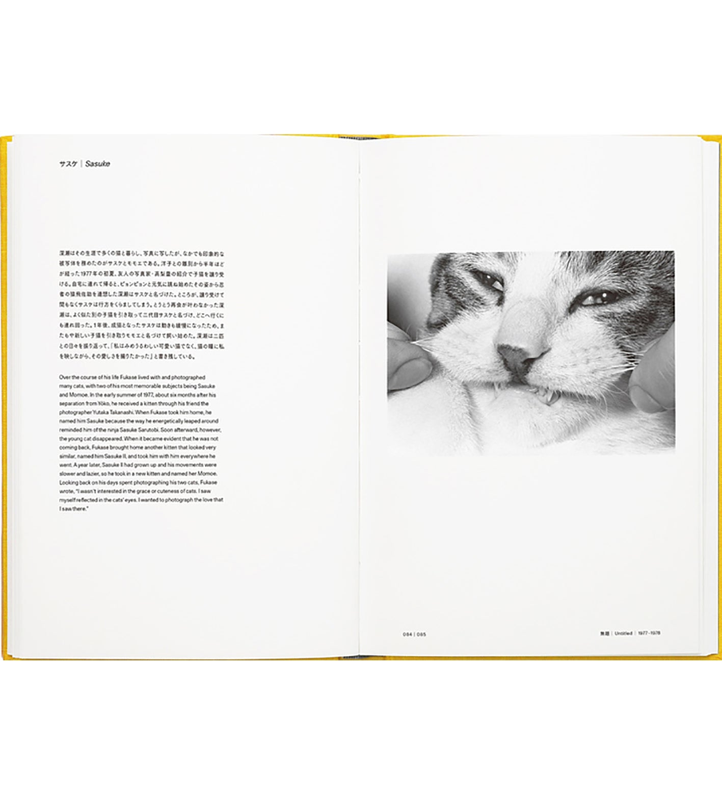 Masahisa Fukase: 1961-1991 Retrospective