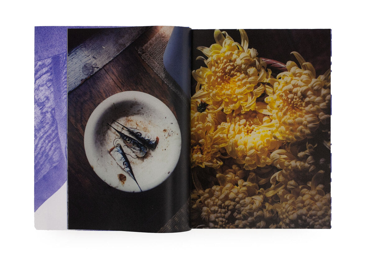 Ishiuchi, Miyako: Grain and image