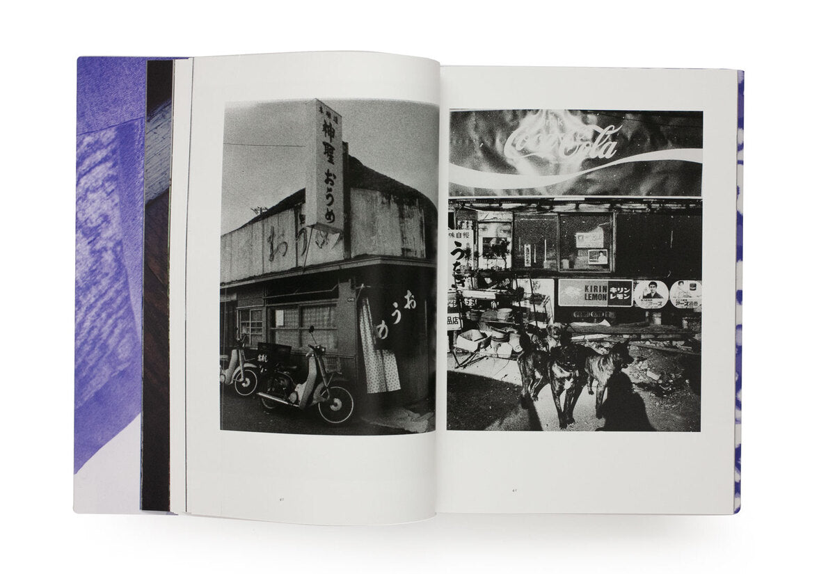 Ishiuchi, Miyako: Grain and image