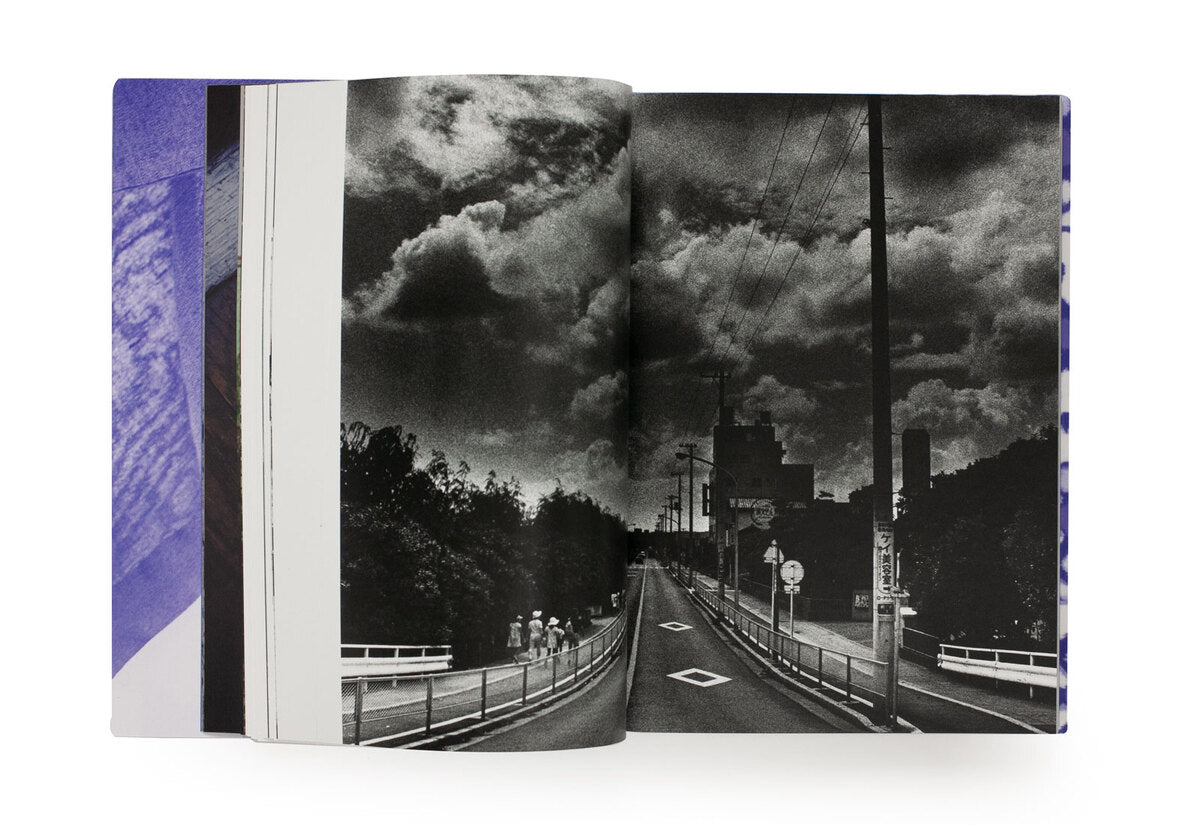Ishiuchi, Miyako: Grain and image
