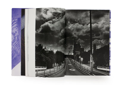 Ishiuchi, Miyako: Grain and image