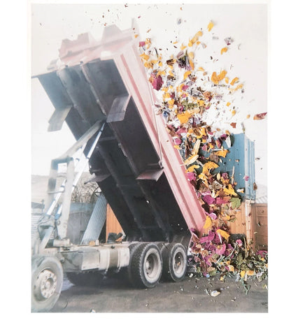 Stephen Gill: Hackney Flowers Poster
