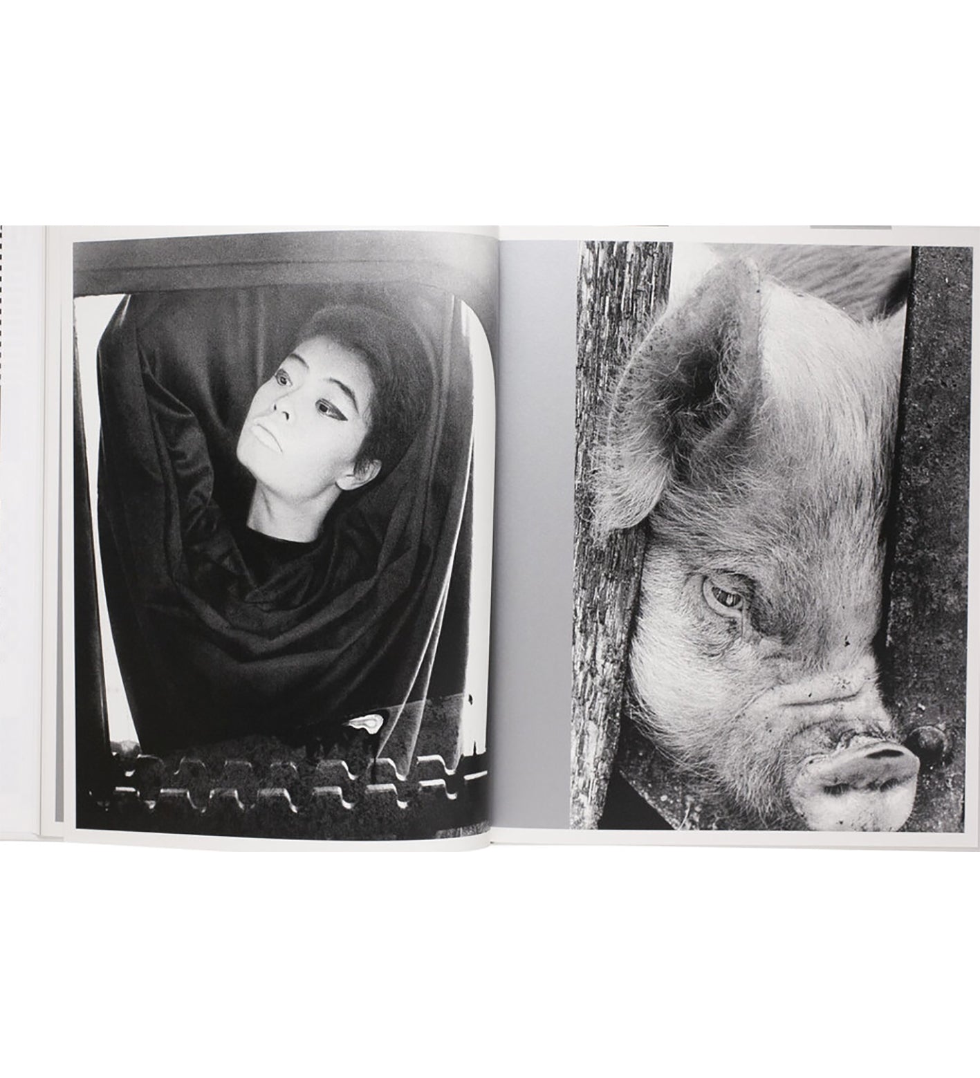 Masahisa Fukase: Homo Ludens