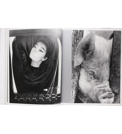Masahisa Fukase: Homo Ludens