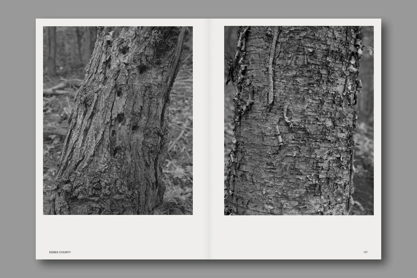 Hotshoe Issue 214 - Stephen Shore