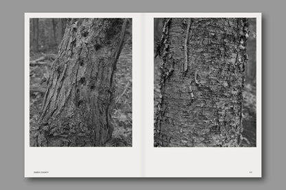 Hotshoe Issue 214 - Stephen Shore