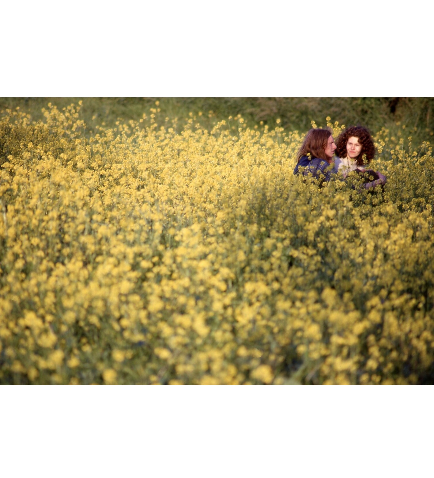 Paul Misso: In the Vale of Avalon: Glastonbury 1971 – TPG Bookshop