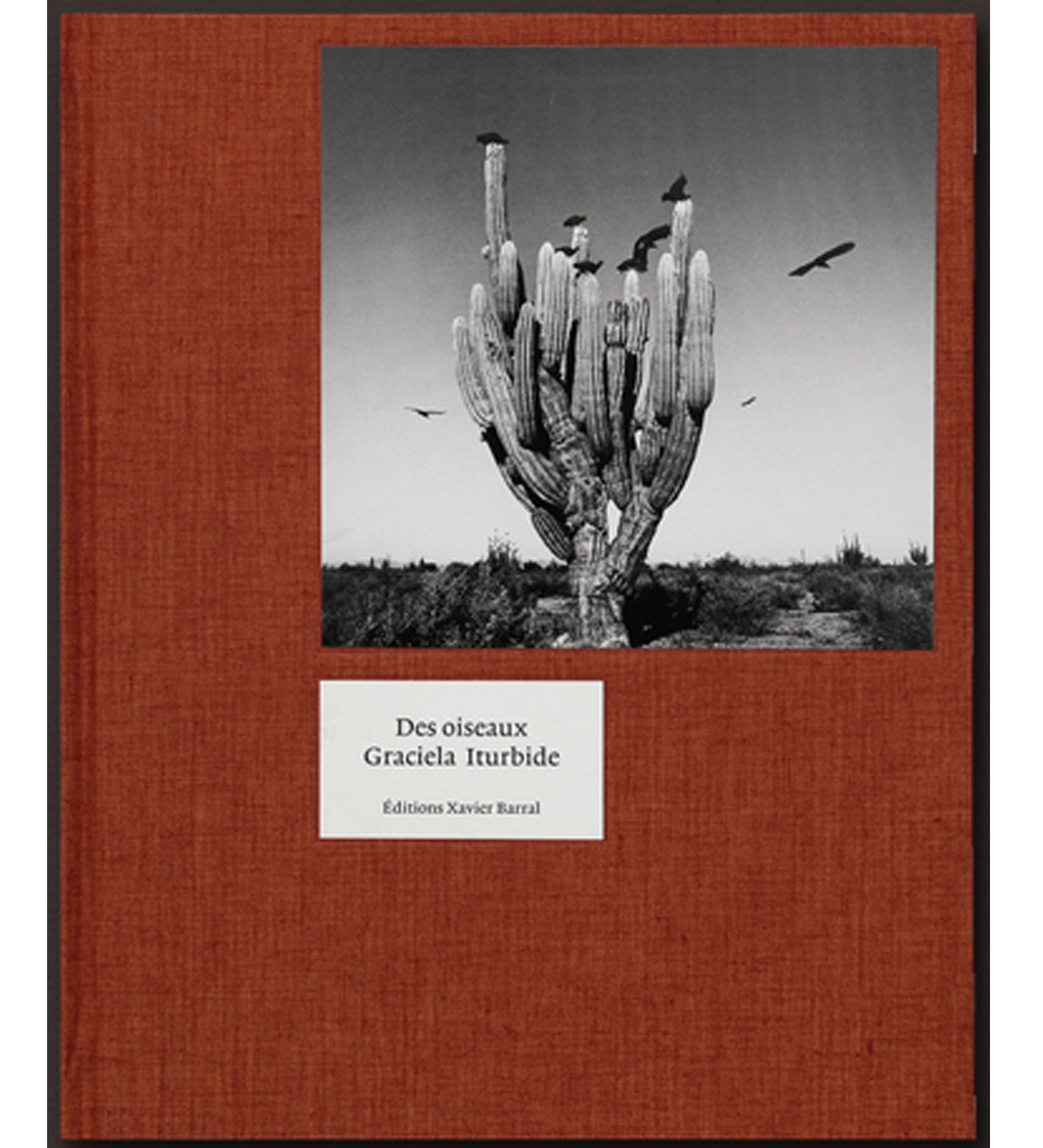 Graciela Iturbide: Des Oiseaux