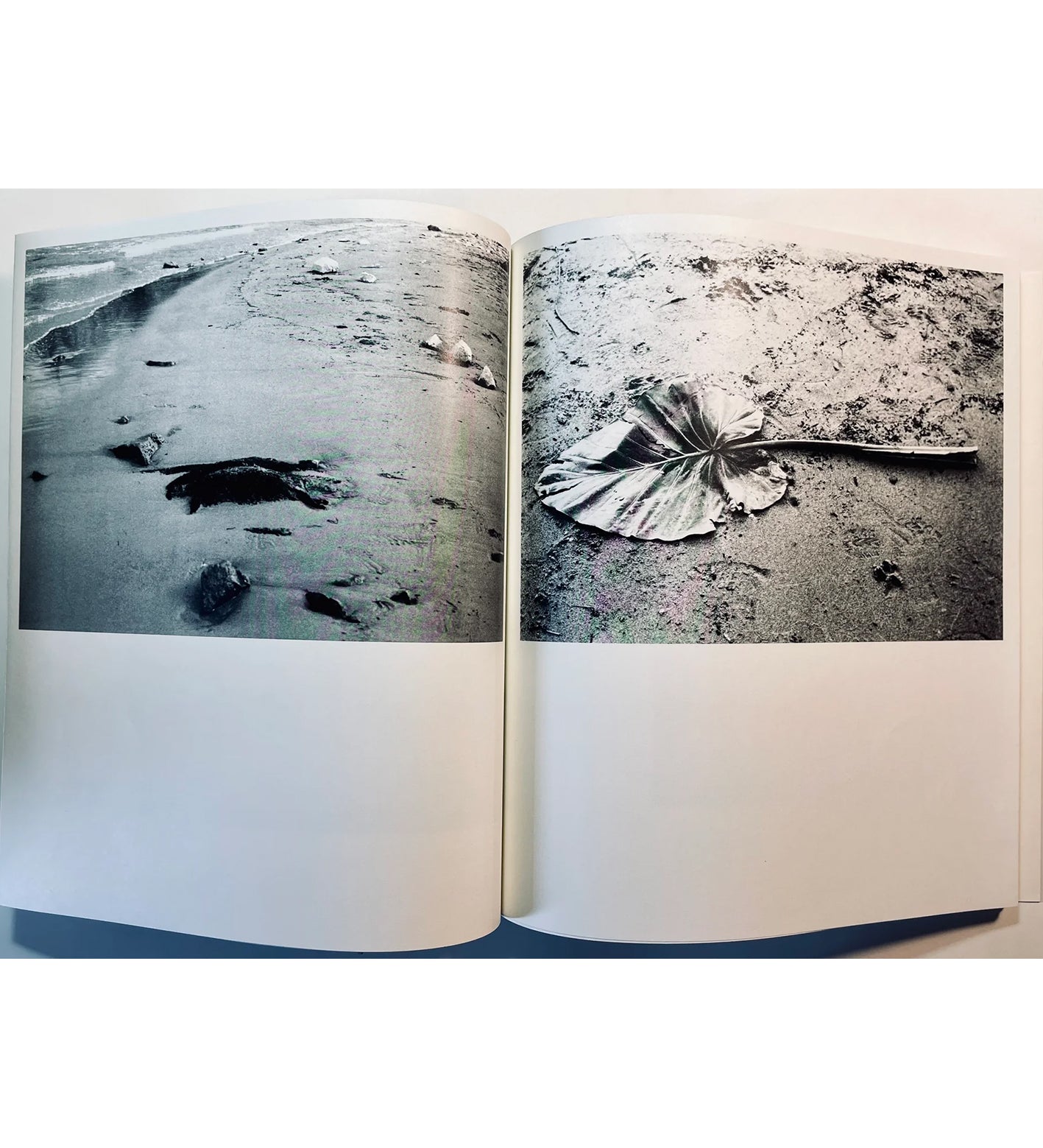 Louise Honée: Juno (limited edition of 250)