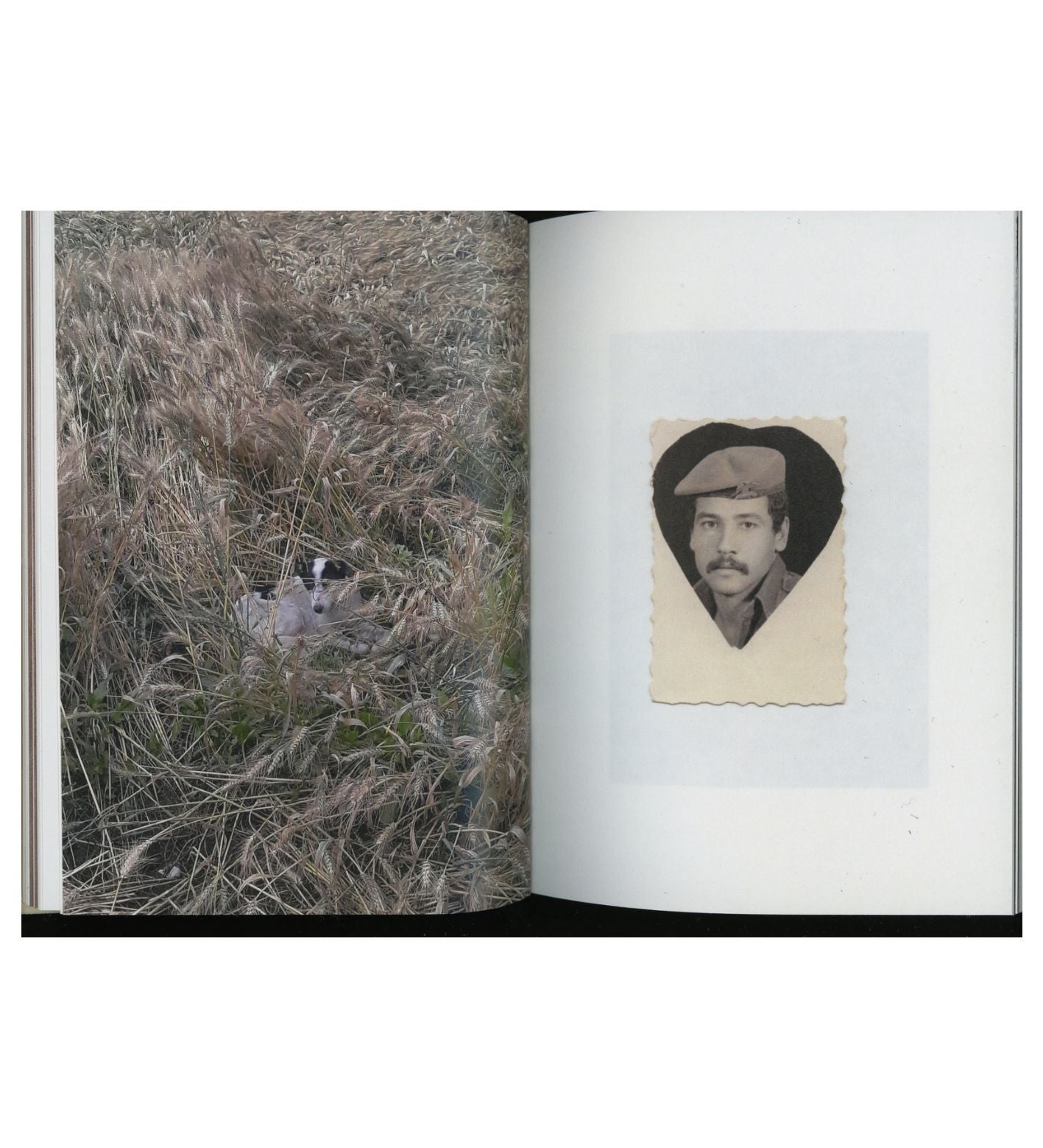 Mahmoud Khattab: The Dog Sat Where We Parted