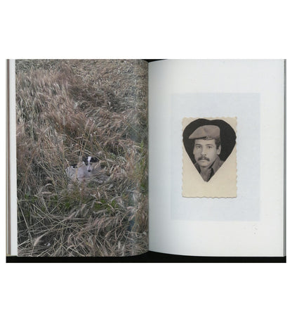 Mahmoud Khattab: The Dog Sat Where We Parted