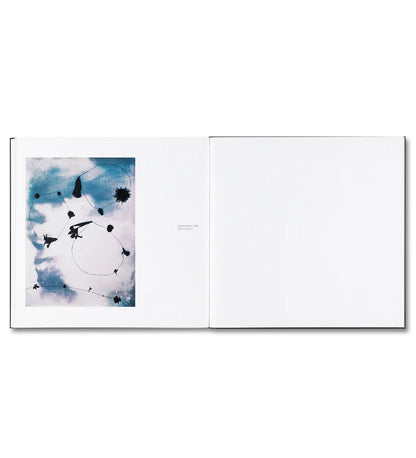 Sugiura, Kunié: Kunié Sugiura (signed)