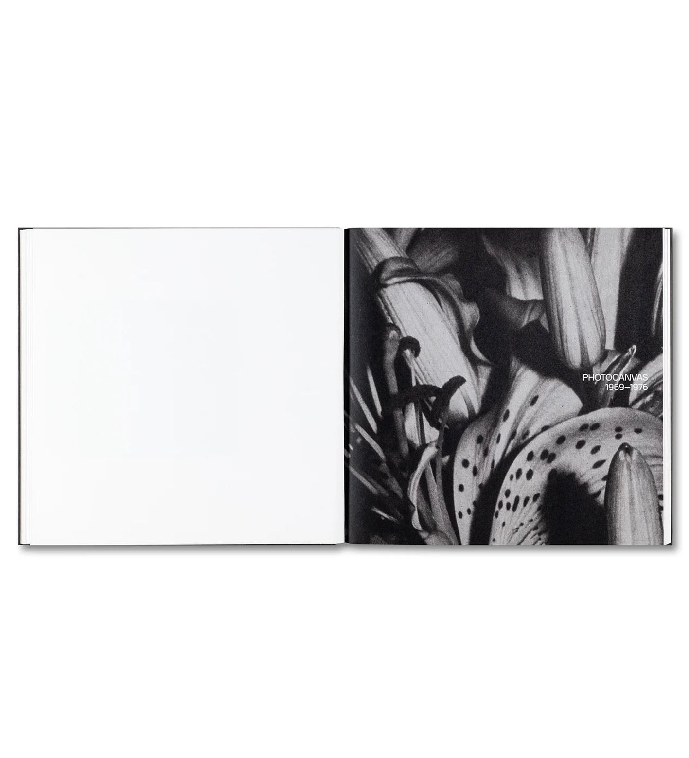 Sugiura, Kunié: Kunié Sugiura (signed)