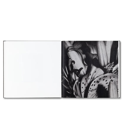 Sugiura, Kunié: Kunié Sugiura (signed)