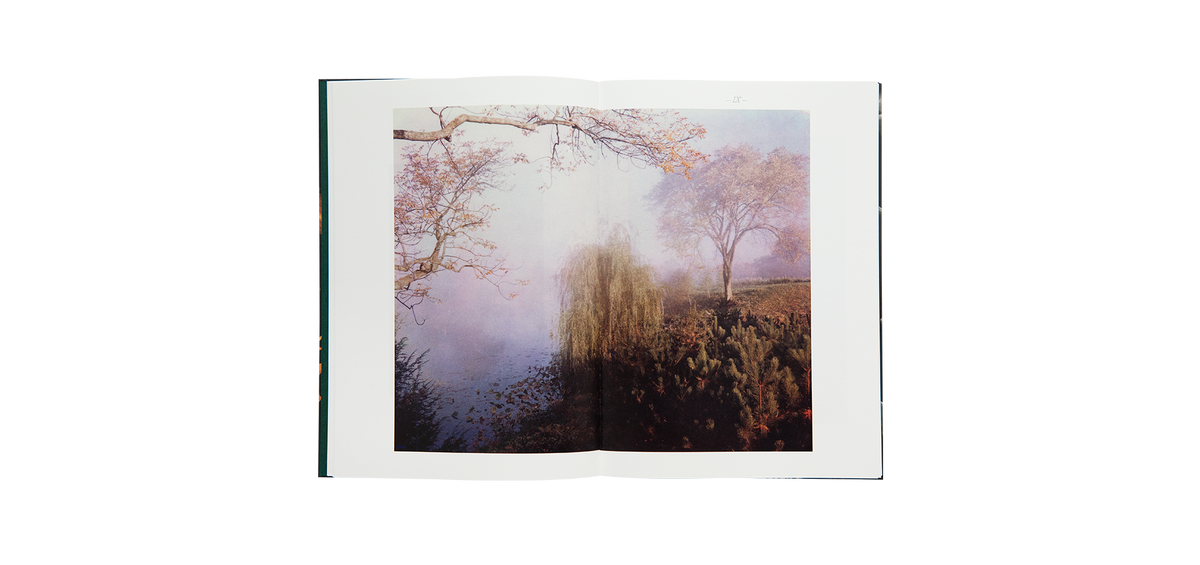 Steichen, Edward: A Life in Nature