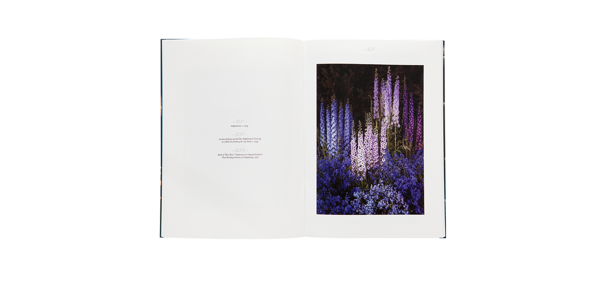 Steichen, Edward: A Life in Nature