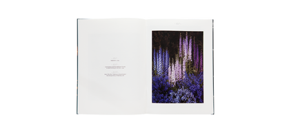 Steichen, Edward: A Life in Nature