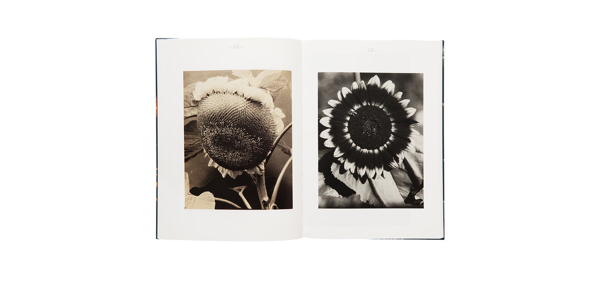 Steichen, Edward: A Life in Nature