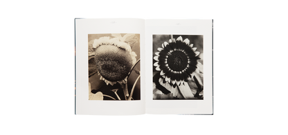 Steichen, Edward: A Life in Nature