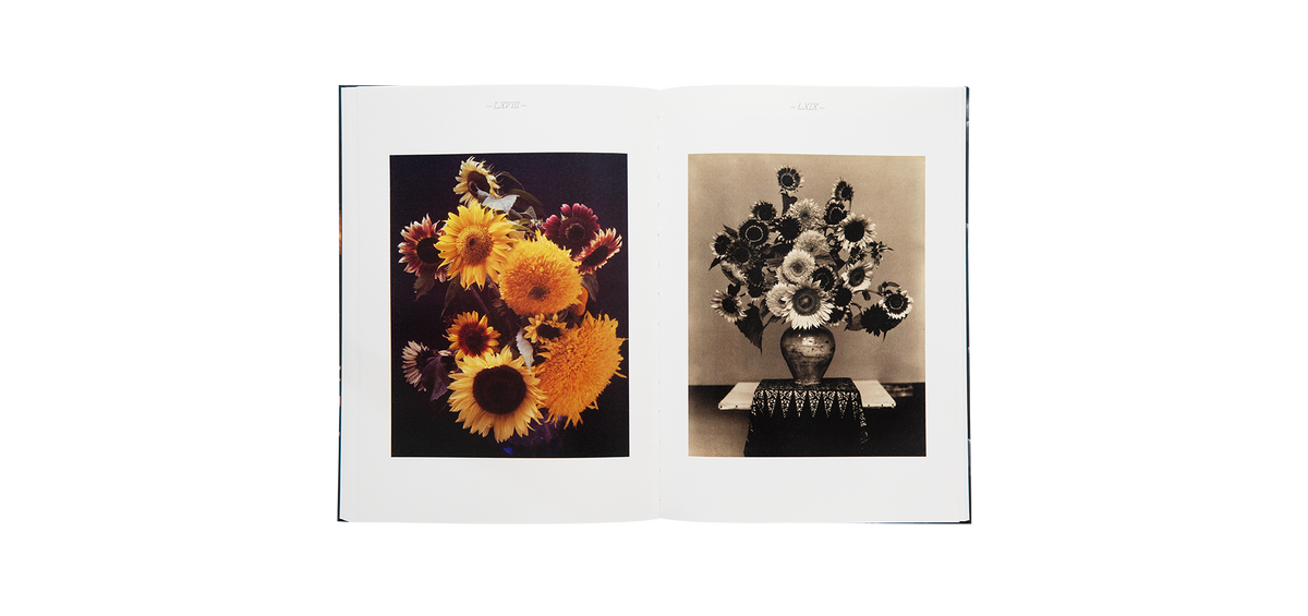 Steichen, Edward: A Life in Nature