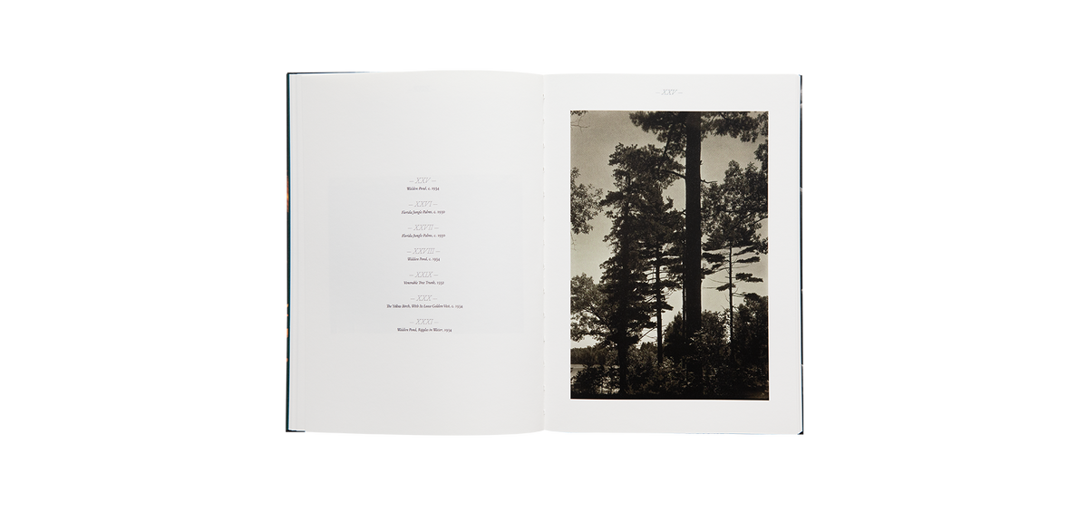 Steichen, Edward: A Life in Nature