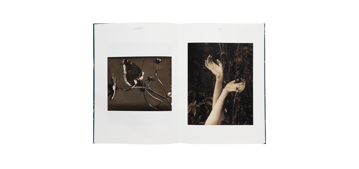 Steichen, Edward: A Life in Nature