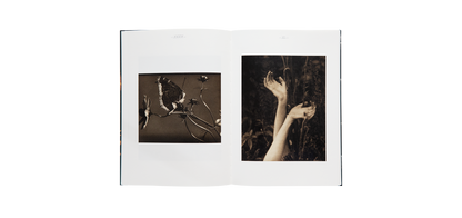 Steichen, Edward: A Life in Nature