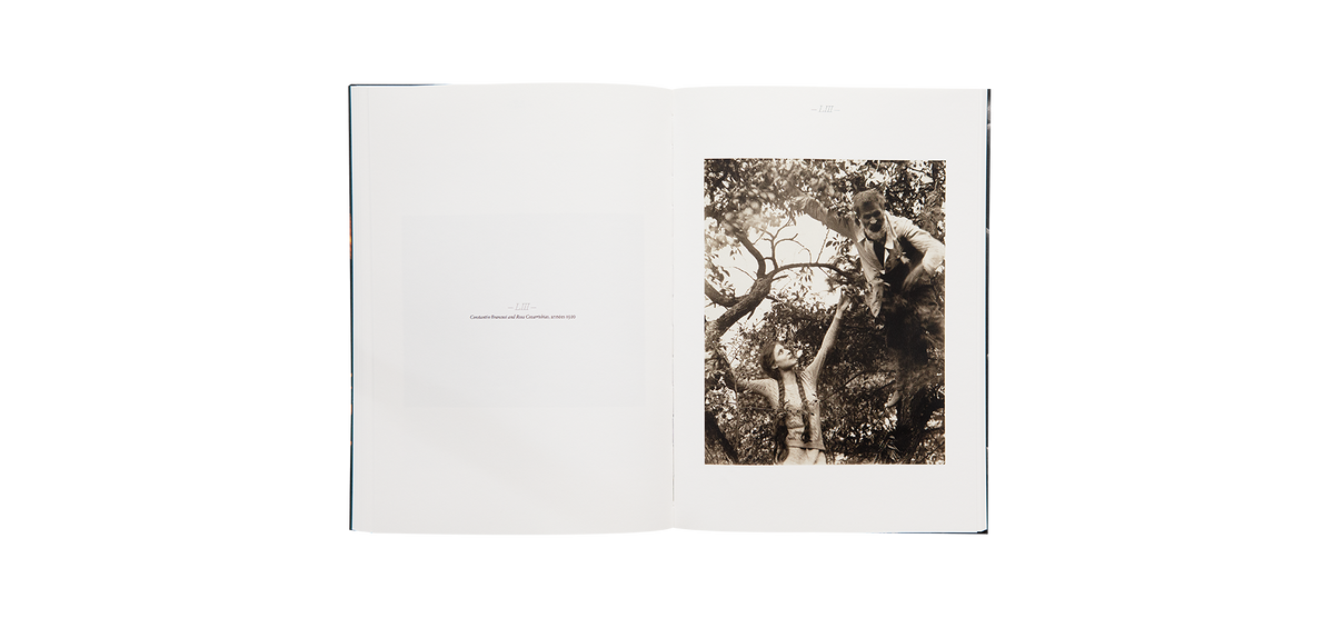 Steichen, Edward: A Life in Nature