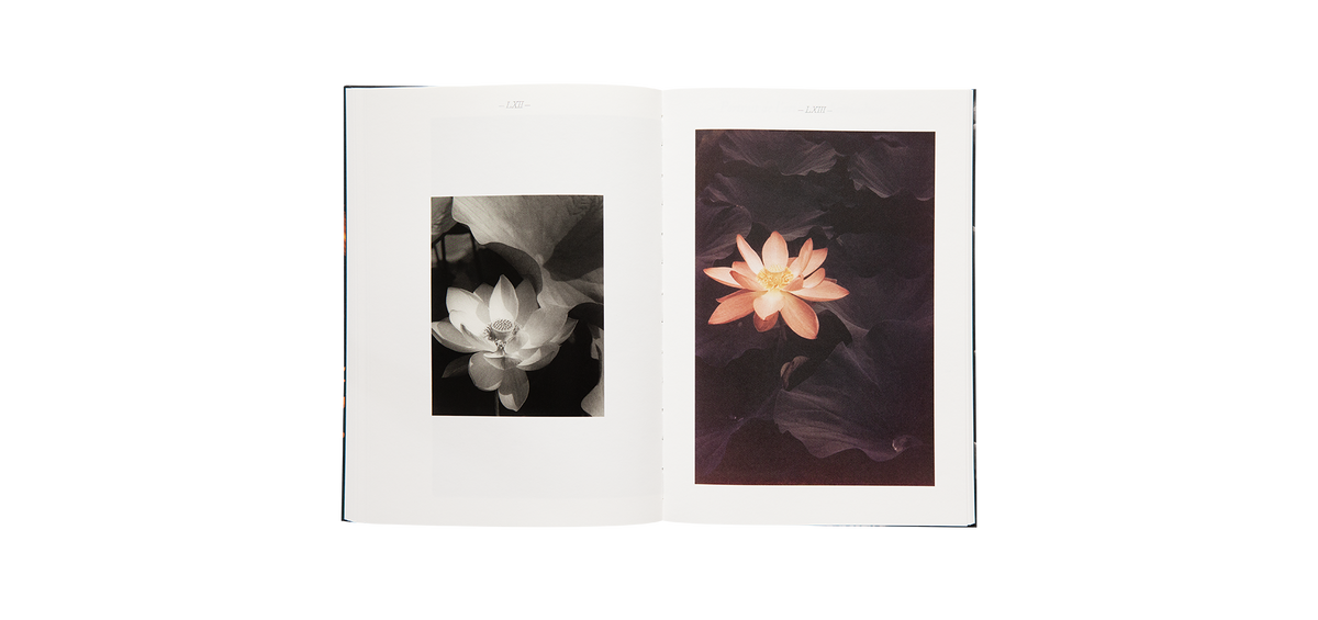 Steichen, Edward: A Life in Nature