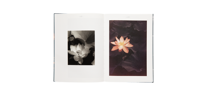 Steichen, Edward: A Life in Nature
