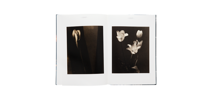 Steichen, Edward: A Life in Nature